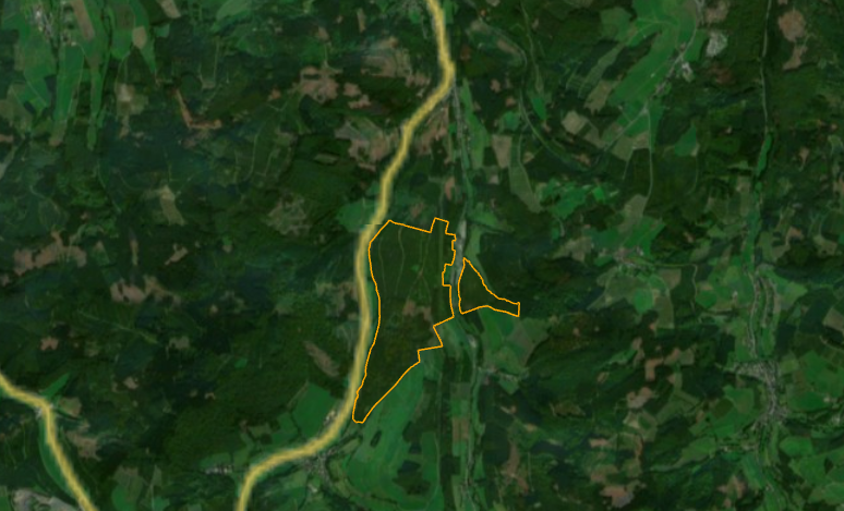 Forest Satellite View
